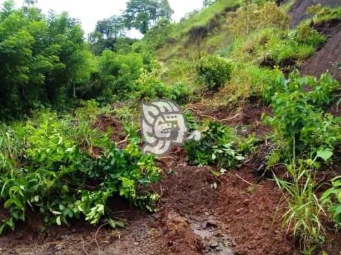 Desgajamiento de cerro incomunica 6 comunidades en Uxpanapa