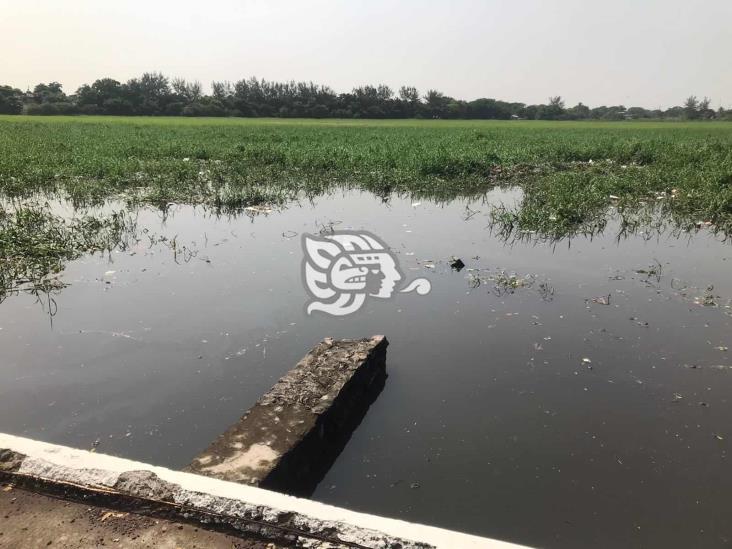 Se desborda Laguna de Lagartos tras fuertes lluvias