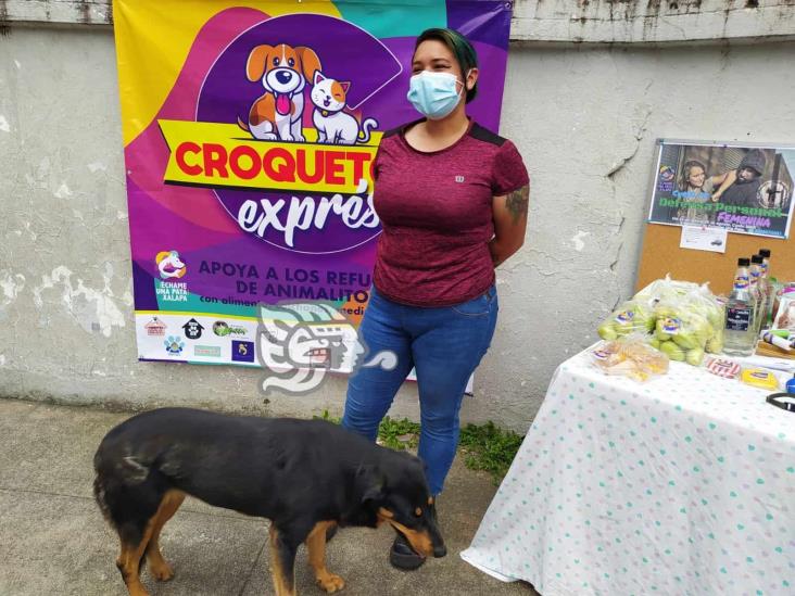 Con croquetón buscan apoyar a 18 albergues de Xalapa