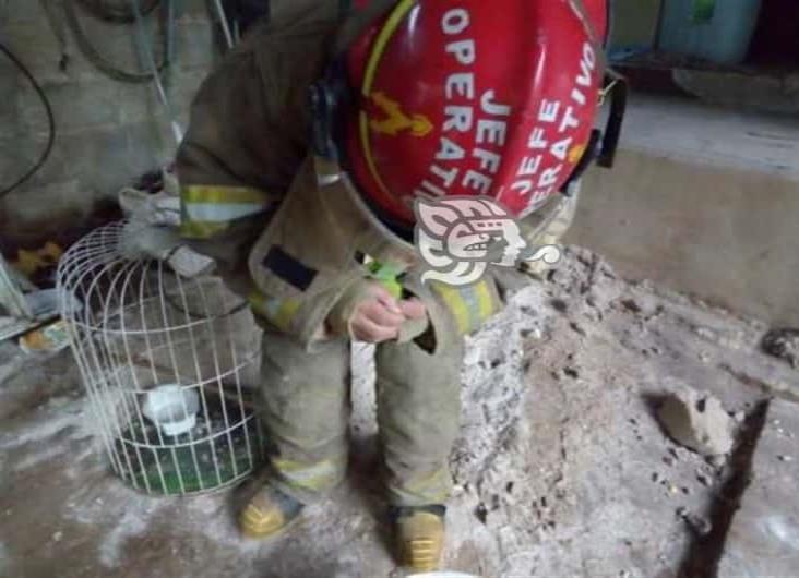 Fallece loro al incendiarse una vivienda en Coatepec