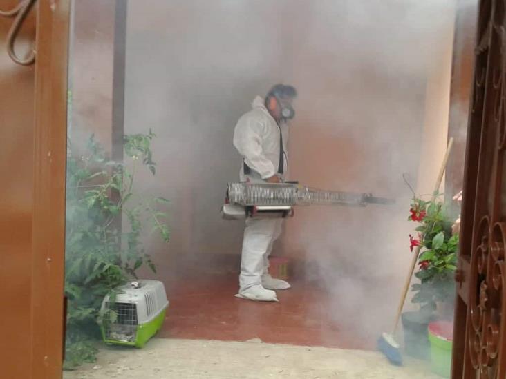 En Mendoza, intensifican fumigación para prevenir dengue, zika y chikungunya