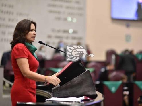 Opositores a despenalización del aborto, sin argumentación jurídica: Mónica Robles