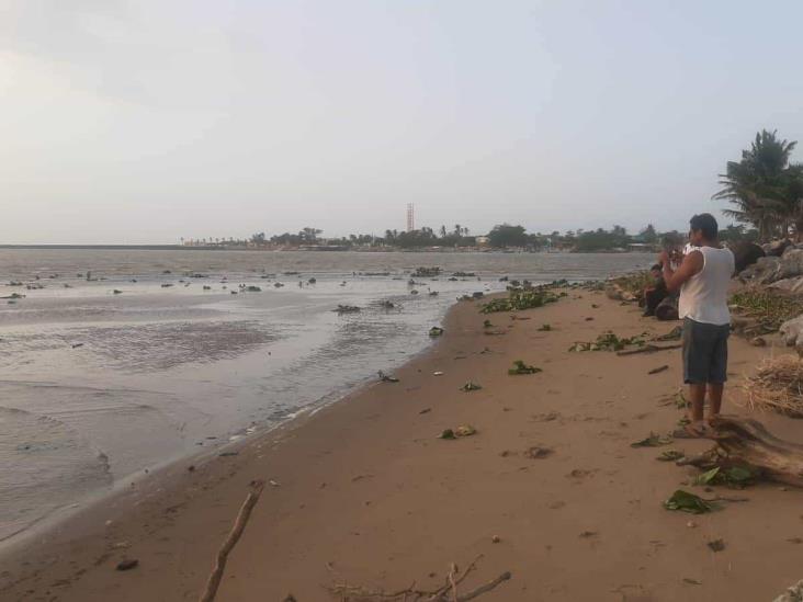 Río Coatzacoalcos vuelve a presentar efecto de marea sicigia