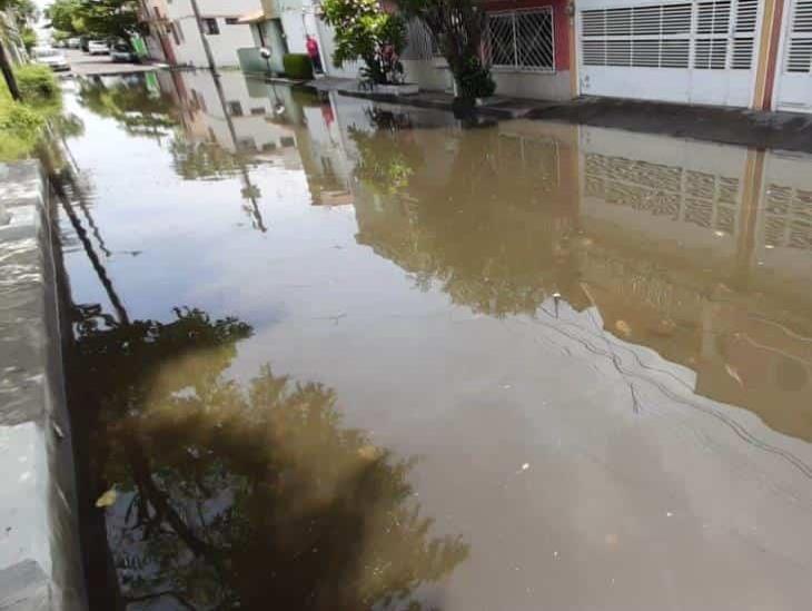 Denuncian vecinos falta de reparación en drenaje de Boca del Río