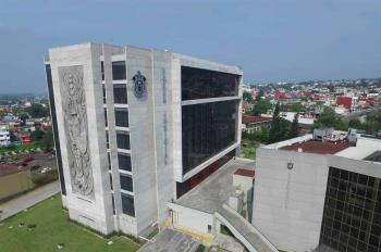 Poder Judicial presume aniquilar la corrupción, pero esconde sanciones a funcionarios
