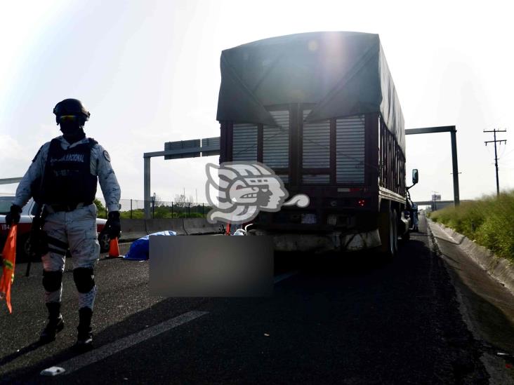 Motociclista impacta en tractocamión y muere sobre la Cardel-Veracruz