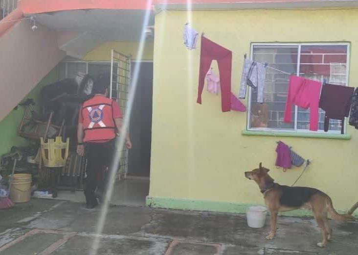 Alertan vecinos sobre incidente de violencia familiar en Veracruz