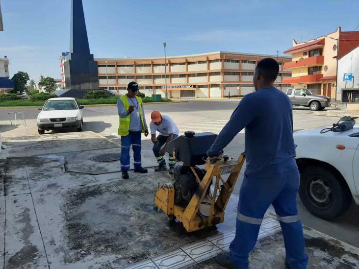 Anuncian la siembra de 17 árboles en cercanías del Malecón de Veracruz