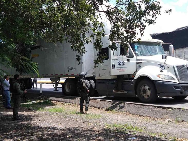 Aseguran tráiler con 67 migrantes sobre la Córdoba-Orizaba