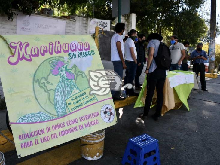 En Xalapa, piden reglas claras para el uso legal de la mariguana