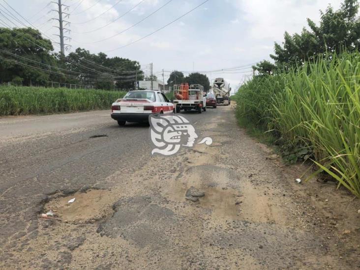 Tráfico lento por hoyancos sobre la Costera del Golfo para ingresar Acayucan 