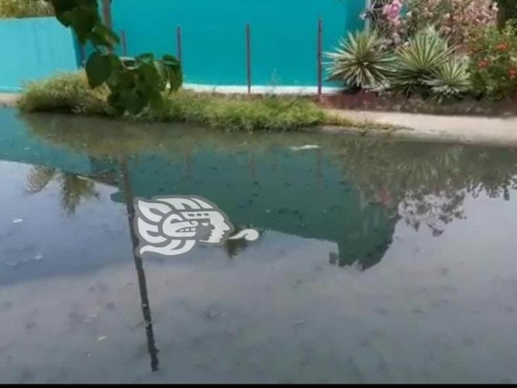 Aguas negras genera grave foco de infección en Ciudad Olmeca