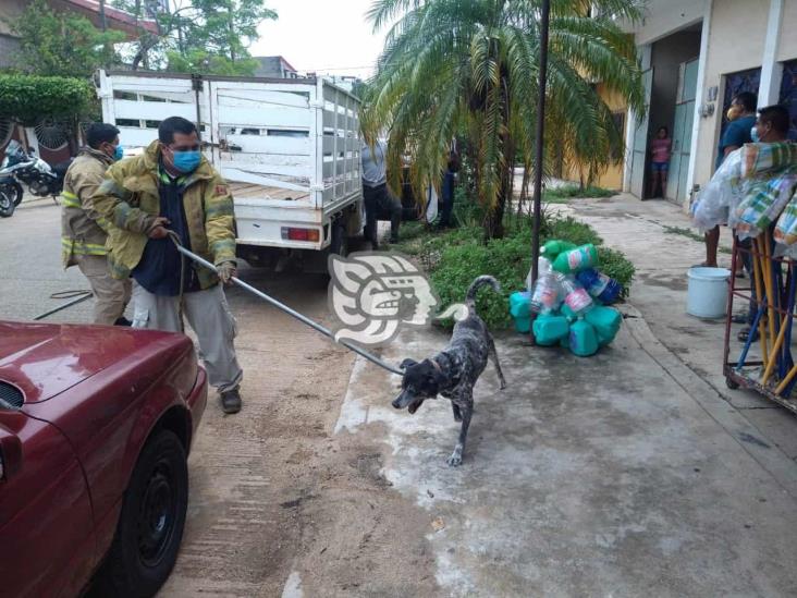 Canino atacó a mujer y a oficial de la Fuerza Civil en Acayucan