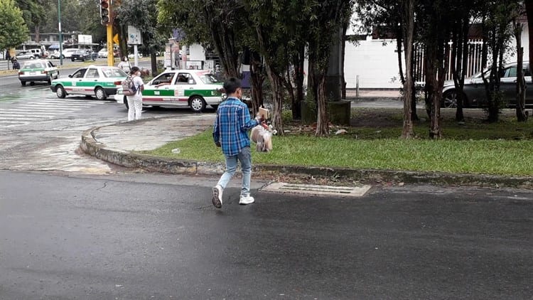 Tras la pandemia, crece el número de menores que trabajan en las calles de Xalapa