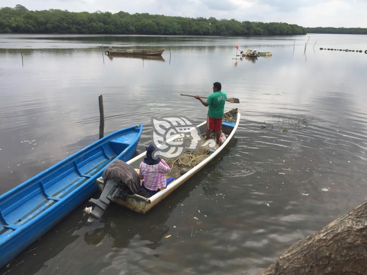 Detectan pesca ilegal del róbalo en límites de Veracruz y Tabasco