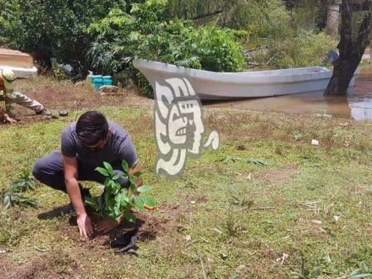 Para evitar deslaves en márgenes del río Chiquito, siembran bambú