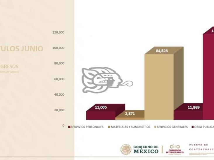 Junio, el mes con mayor recaudación en la Apicoat