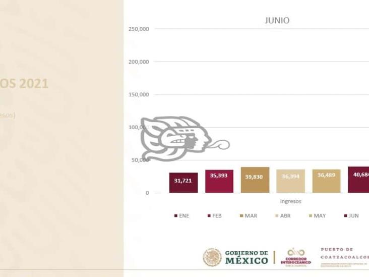 Junio, el mes con mayor recaudación en la Apicoat