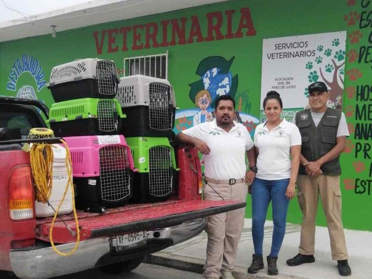 Implementan Asociación Civil PATAS brigada de rescate animal ante llegada de Grace