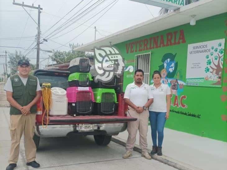Implementan Asociación Civil PATAS brigada de rescate animal ante llegada de Grace