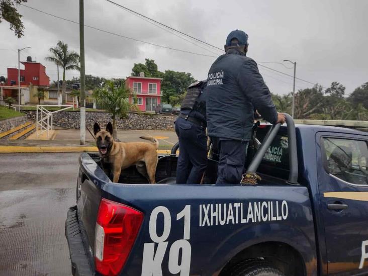 Entrenan a pastor belga para ser elemento de la Policía Municipal de Ixhuatlancillo