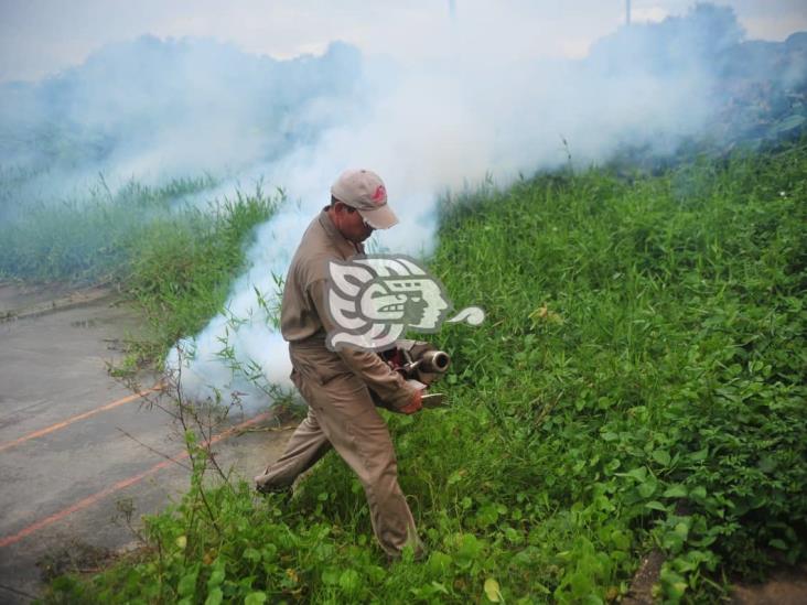 Sesver exhorta a abatir el dengue en los hogares