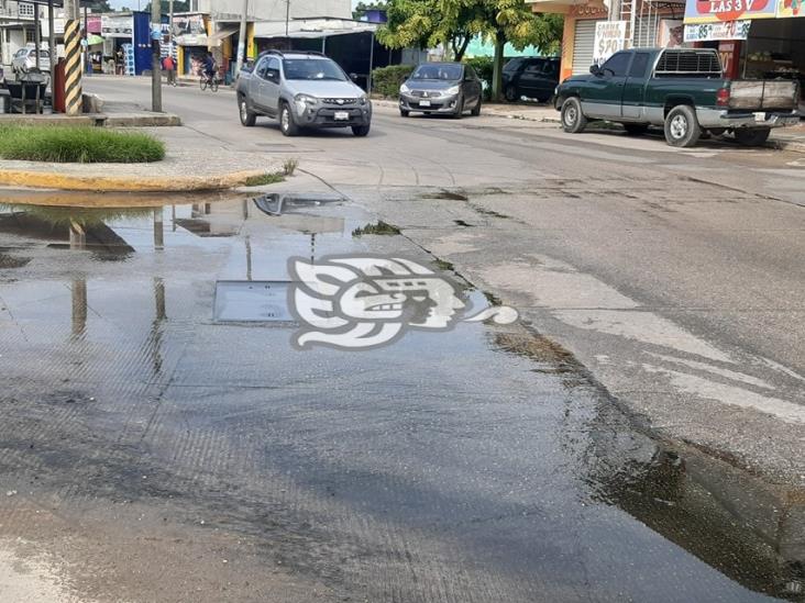 Fuga de aguas residuales, foco de infección en calles de Las Choapas