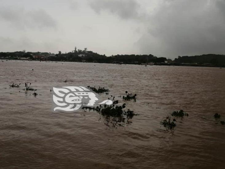 Río Coatzacoalcos supera nivel crítico; afectaciones en Carranza y Texistepec