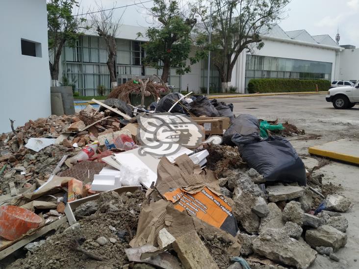 Sin recolección de basura en Poza Rica tras paso de ‘Grace’