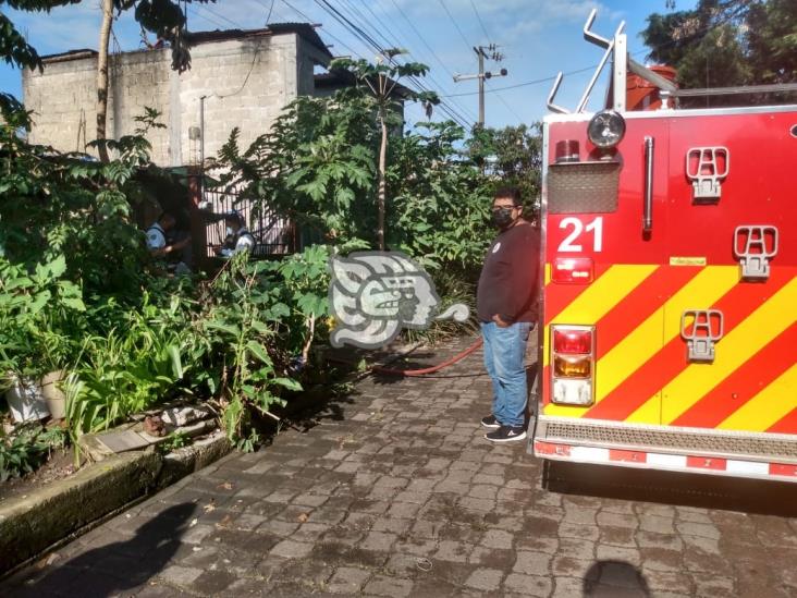 Incendio de cacharros dentro de una vivienda desata alarma en colonia de Xalapa