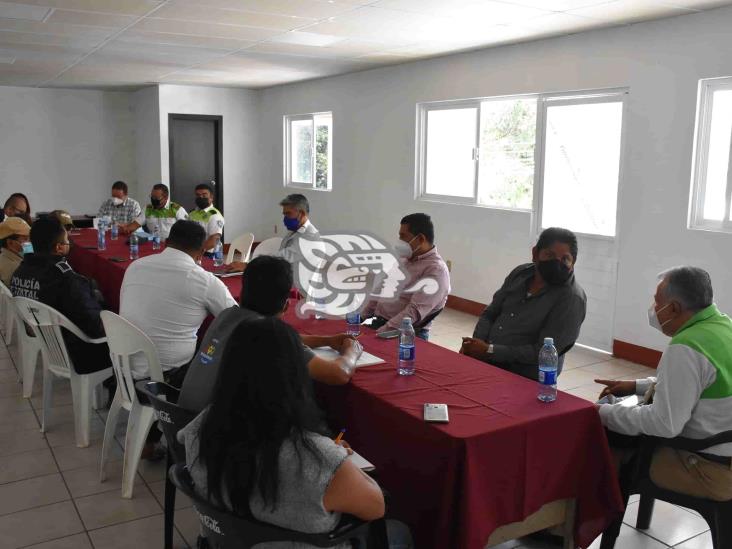 Buscan frenar tala clandestina en la zona centro de Veracruz