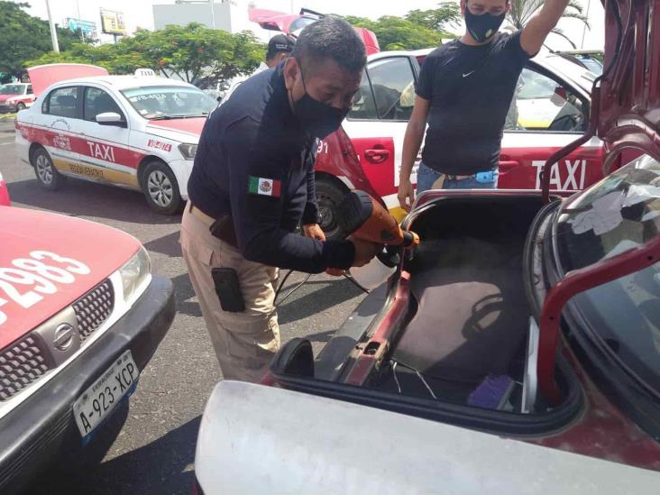 Ante regreso a clases, sanitizan urbanos y taxis en Veracruz