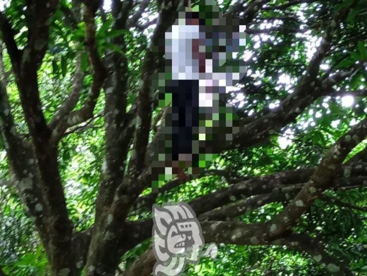Joven se cuelga de árbol de mango en San Andrés Tuxtla 