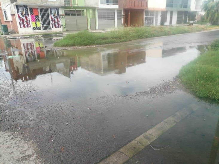 Gran fuga de agua inunda varias calles de fraccionamiento