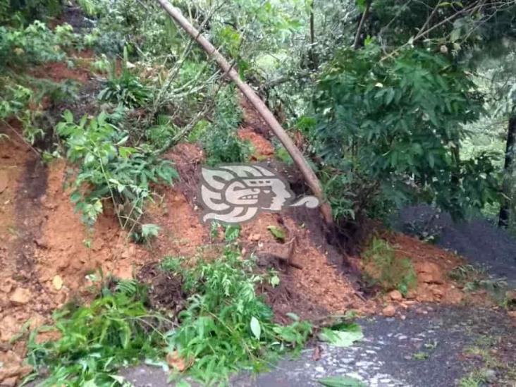 Lluvias en Zongolica dejan más de 30 derrumbes y daños en viviendas