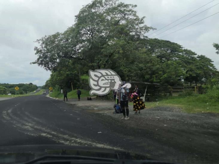 Costera del Golfo, principal ruta migratoria en Veracruz