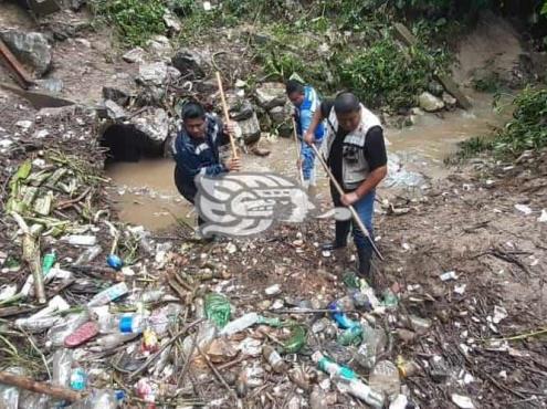 Desazolvan la zona del “Chorrito” para evitar inundaciones en Oteapan