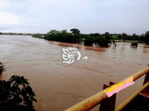 No hay paso, alertan ganaderos por desbordamiento del río Uxpanapa