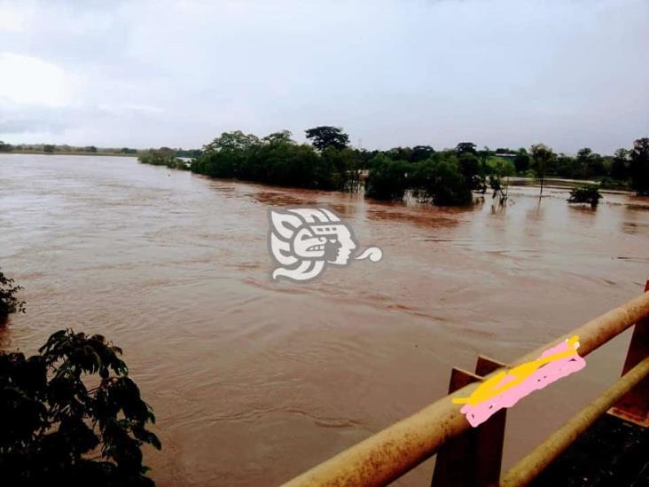 No hay paso, alertan ganaderos por desbordamiento del río Uxpanapa