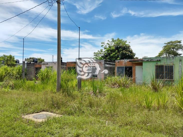 En el abandono, viviendas construidas para damnificados de lluvias en Cuichapa