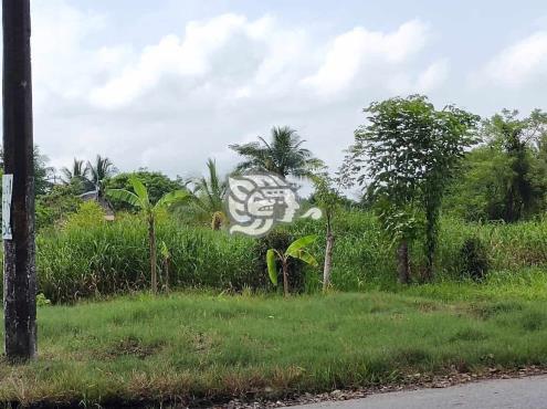 Vecinos en Moloacán piden poner atención a predios en abandono