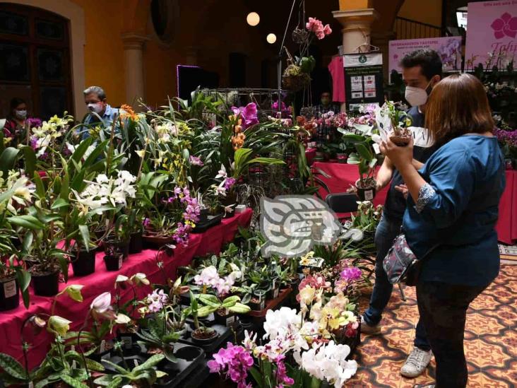 Del 17 al 19 de septiembre, Expo venta de orquídeas en Xalapa
