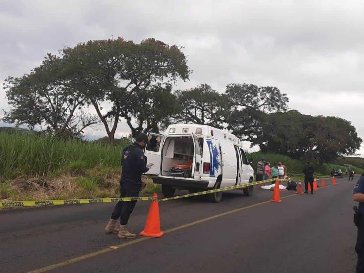 Muere menor arrollado en la carretera Coatepec-Tuzamapan