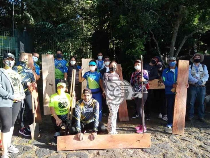 Corredores hacen bancas con árboles caídos en Cerro de Macuiltépetl