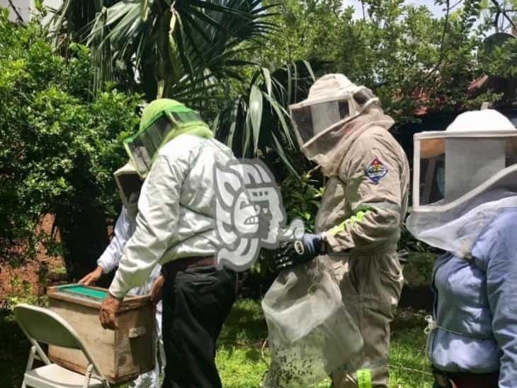 Retiran dos colmenas de abejas de instalaciones de Quetzalli