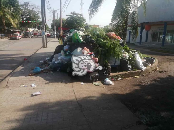 Parque del Tejar, desbordando de basura