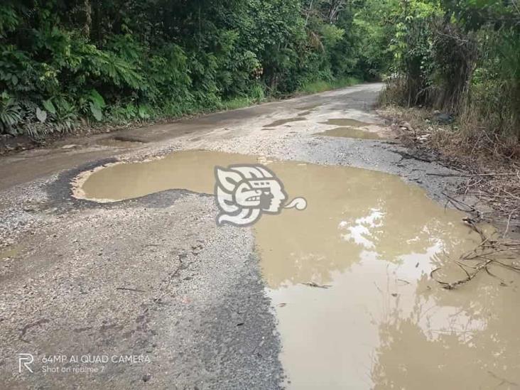 Carretera de Las Choapas debe ser rehabilitada con urgencia