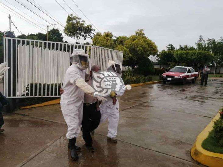 Empleados del ayuntamiento de Ixhuatlán sufren picaduras de abejas