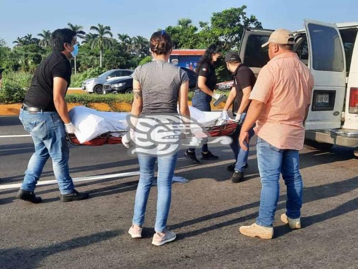 Muere hombre atropellado en la carretera Veracruz- Xalapa