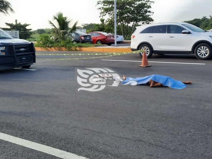 Muere hombre atropellado en la carretera Veracruz- Xalapa